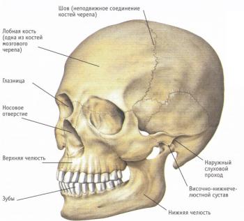 перелом челюсти признаки